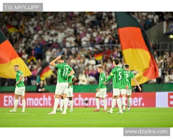 爱尔兰迎战奥地利世预赛激战在即球迷期待精彩对决